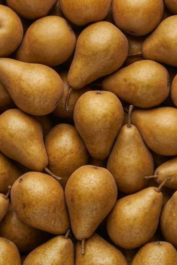 ingredienti freschi selezionati per le conserve artigianali Jovilios - pere